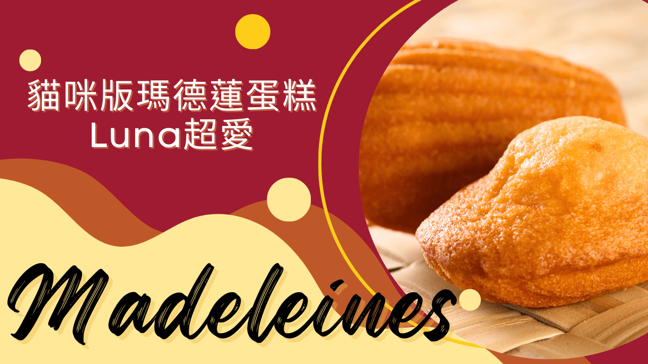 貓咪版瑪德蓮蛋糕,Luna超愛的文章精選圖