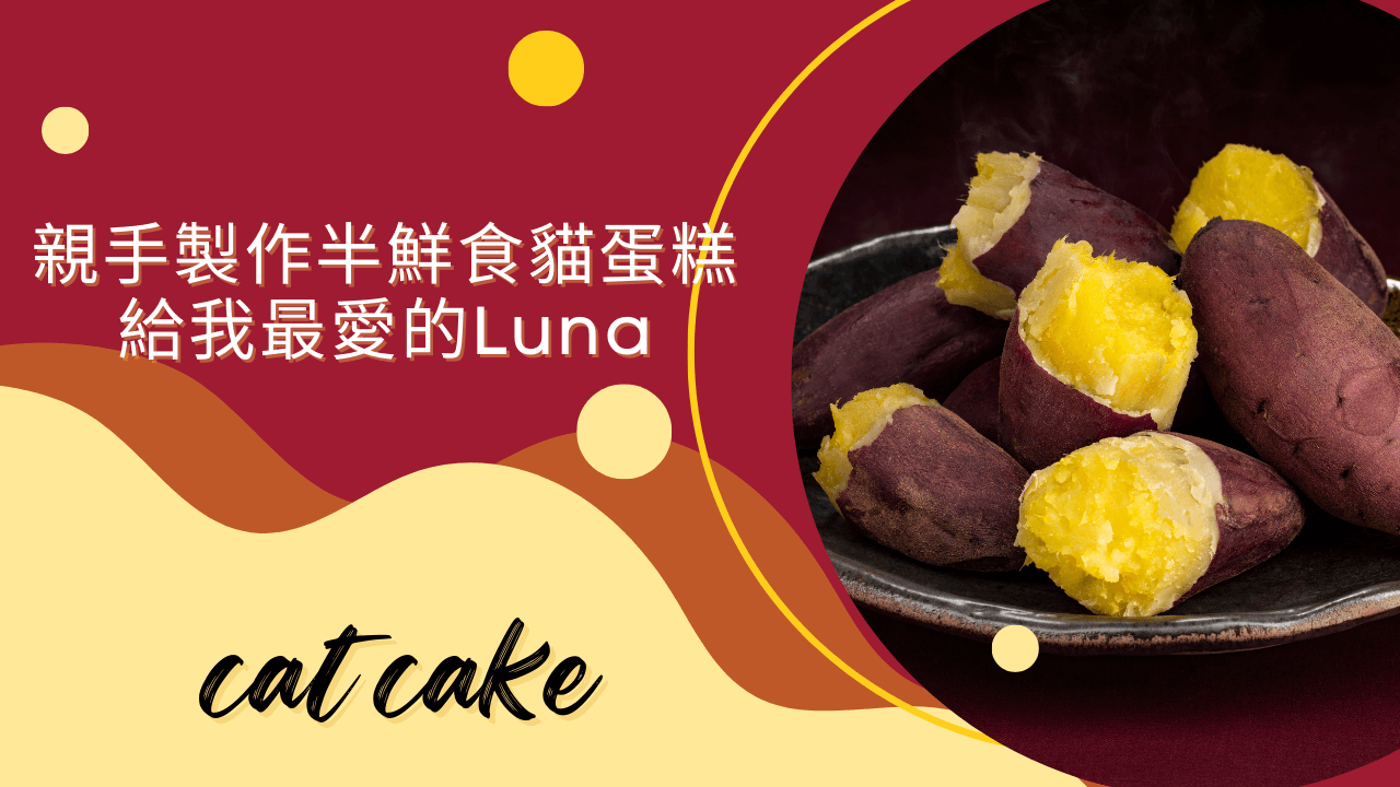 親手製作半鮮食貓蛋糕給我最愛的Luna